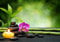ZEN Fototapete VLIES-350x260 cm (981A)-Spa Bambus Steine Blüten Orchideen Blumen Wandtapete-Inkl. Kleister-Vliestapete Bild Dekoration Wand-Dekor Moderne Motiv-Tapete Panorama Poster XXL