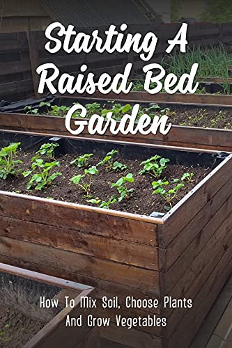 Starting A Raised Bed Garden: How To Mix Soil, Choose Plants And Grow Vegetables