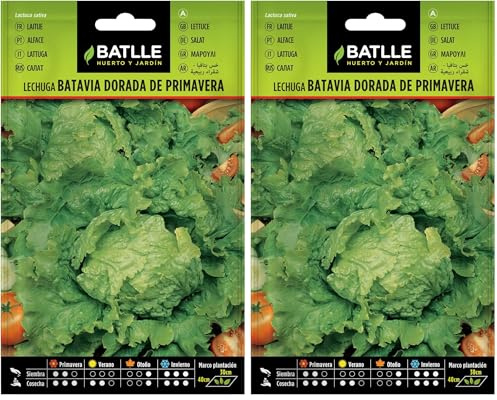 Semillas Batlle Laitue Batavia Doré - Printemps (Lot de 2)