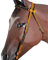 HILASON Orange Schwarz Pferde Trense Halfter Flach Geflochten Paracord | Halfter für Pferde | Westernhalfter | Pferdehalfter Western