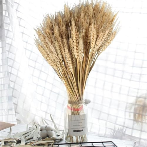 Decorative Ears Of Wheat, Natural Dried Wheat Ears Bouquet, Dried Wheat Sheaves Stalks Bouquet Bundles, Dried Flowers Grass Wheat Straws, Dried Flowers Crafts Home Wedding Boho Decor