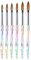 6Pcs/Set Acrylic Powder Brushes Kolinsky Sable Brushes New Nail Art Brush Set