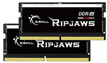 G.SKILL D5S64GB 4800-40 N K2 GSK F5-4800S4039A32GX2-RS
