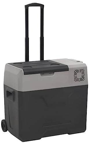 ZEYUAN Backpacking Camping Cooler,Electric Coolbox,Ice Coolers Box,Cool Box with Wheel and Handle Black&Grey 40 L Polypropylene