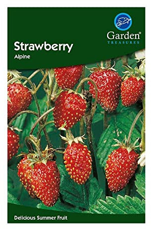 Garden Treasures Fresh Herbs Vegetable Fruit Seeds Salad Grow Your Own Indoor Outdoor (Strawberry Alpine)