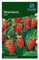 Garden Treasures Fresh Herbs Vegetable Fruit Seeds Salad Grow Your Own Indoor Outdoor (Strawberry Alpine)