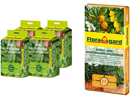 Floragard Aktiv-Grünpflanzen- und Palmenerde 4x20 L • Spezialerde für Palmen, Farne, Ficus, andere Grün- und Zimmerpflanzen • 80 L & Zitrus-und Mediterranpflanzenerde 40 Liter - Zitruspflanzenerde