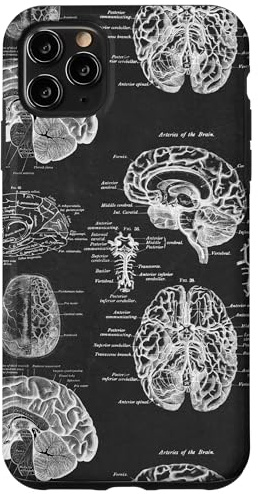 Hülle für iPhone 11 Pro Max Brain Anatomy Vintage Medical Diagramme