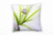 Paul Sinus Art Macro, Blumen, Lilie, grün, lila Deko Kissen 40x40cm für Couch Sofa Lounge Zierkissen - Dekoration zum Wohlfühlen