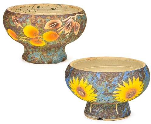 Sungmor Set of 2 Beautiful Handicrafts Ceramic Planters - 6.9 Inch Small Succulent Flower Pots with Drainage - Pretty Desktop Windowsill Landscape Flowerpot - Home & Office Decor Pots