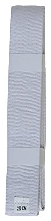 Lisaro kampfsportgürtel Karate Judo Taekwondo Ju Jutsu BJJ Gürtel Gr. 160-320 cm (Weiss, 300)