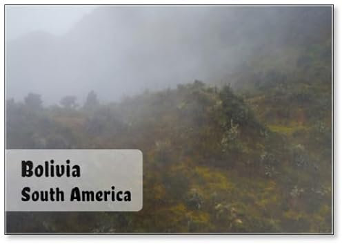 Kühlschrankmagnet Bolivia Reigns The Equatorial Forest, Always Lush and Rich in The Most Varied Essences