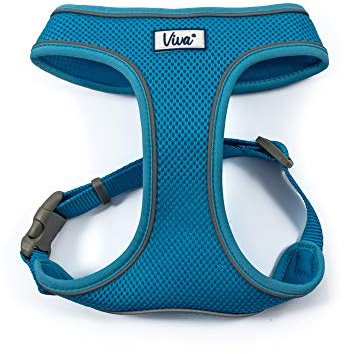 Ancol Viva Bequemes Hundegeschirr, reflektierend, atmungsaktiv, Netzstoff, mit Verstellbarer Passform, für Welpen, Haustiere, Sicherheit, Sichtbarkeit, Größe M, 44–57 cm, Blau