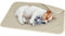 Kritter Planet Kühldecke Katze Hund Bett Wasserdicht, wasserdichte Kühlende Decke Hundedecke für Auto Rückbank Unterwegs Outdoor Sofa Couch Waschbar, Sofadecke Katzendecke Kühlend Klein Taupe, 50x75