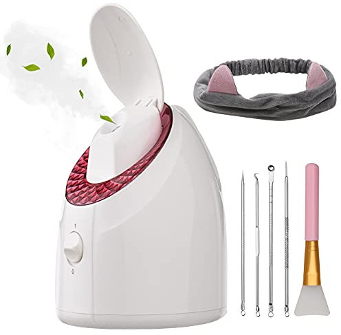 Sauna facial Vapeur Professionnel Nano Ions Chaud Brume Faciale, Vapeur Filtrée UV, Profondeur des Pores Nettoyage du Visage Hydratant Visage SPA