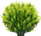 AIOR 6 Pezzi Artificiale Piante Fiori Finti Artificiali Arbusti Piante Resistenti ai Raggi UV per Interni ed Esterni, Decorazione per Casa, Ufficio, Giardino, Patio, Cortile (Verde)