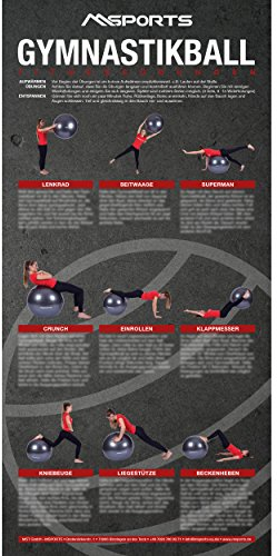 MSPORTS Übungsposter für den Gymnastikball | ca. 44 x 21 cm | 9 Übungen