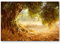 Paul Sinus Art Leinwandbilder | Bilder Leinwand 120x80cm großer alter Olivenbaum