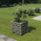 MOONAIRY Lit surélevé à Gabion Acier galvanisé Gabion Robuste Jardinière à Gabion Plantes Pot de Fleurs Lit surélevé à Gabion Acier galvanisé 50x50x50 cm