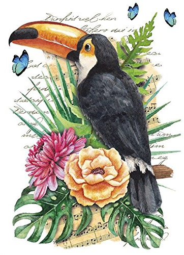 Transferencia de planchado a color, DIN A4, filigrana sin fondo, animales tropicales, decoración de textiles como camisetas y bolsos con motivos de planchado, imágenes de transferencia, diseño textil