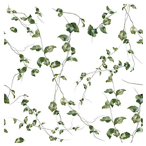 murando - Tapete selbstklebend 10m Wandtattoo dekorative Möbelfolie Dekorfolie Fotofolie Panel Wandaufkleber Wandposter Wandsticker - Blätter Natur Efeu weiß grün b-B-0562-j-a