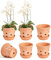 vensovo 10CM Terracotta Orchid Pots with Holes and Saucers - 6 Pcs Small Clay Orchid Planter Pots for Repotting, Plant Flower Pots for Orchid Indoor and Outdoor Promotes Air Circulation