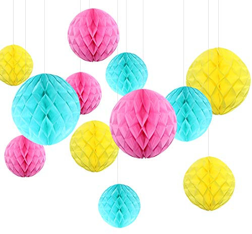 Himeland 12 Stü. Seidenpapier Pompom Wabenball Party Dekoration Kit, Papier Wabenbälle Set für Geburtstag/Party/Baby Dusche/Hochzeit