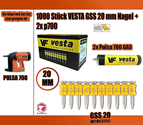 Lot de 1000 clous Vesta GSS + 2 clous Pulsa700/ Pulsa800 gaz (clous Spit) (C6 20 mm, Pulsa 700)