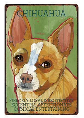 Türschild Chihuahua Sehr Loyal Und Beschützend Blechschild Retro Blechschilder Für Geschenk Haus Geburtstag,20X30Cm