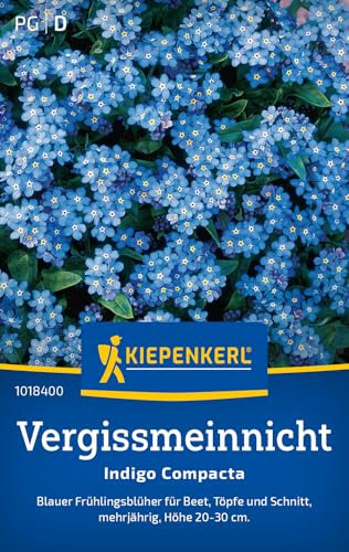 Kiepenkerl Vergissmeinnichtsamen Indigo Compacta 1018400 - Pflegeleichte Vergissmeinnicht-Samen für Blumenwiese, Essbare Blüten, Ideal für Gärtner, Mehrjährig
