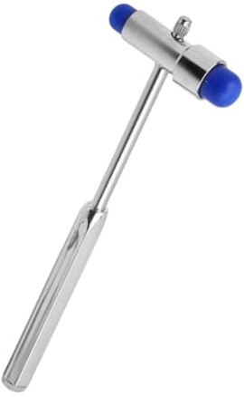 ULTECHNOVO Reflexhammer Mit Doppelkopf 3-in-1 Neurologischer Reflexhammer Mit Nadel Und Bürste Edelstahlgriff Für Präzise Sehnenpercussion Körperuntersuchung Und Massage