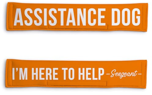 Personalised Dog Lead Sleeve | Custom 'Assistance Dog' Lead Cover | Reactive Nervous Dog Warning | Funny Dog Lead Sign | Velcro Lead Wrap UK (Orange)