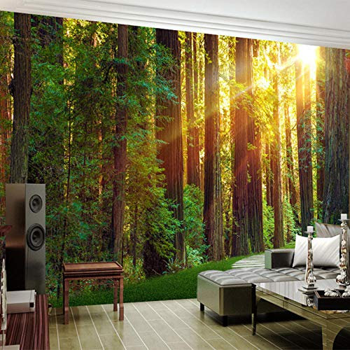 Yimesoy Papier Peint Photo Personnalisé Pour Murs De Chambre Bois Modernes Sous Le Soleil Fond De Photographie Art Mural Papier Peint Fresque 3D 200Cm(W)×140Cm(H)