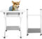 pofluany Baignoire 2 en 1 pour chien, station de lavage pour chien, baignoire pliable pour le bain et le toilettage, baignoire pour petits chiens, chats, animaux domestiques, avec 3 vitesses de