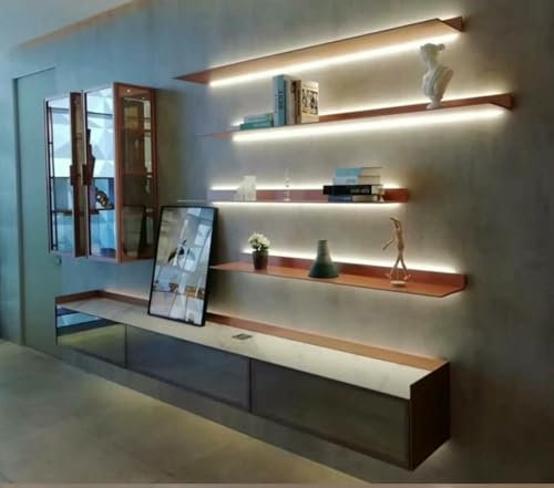 XDRGOOIUY LED Beleuchtete Schwimmende Wandregal Für Pflanzen Oder Bücher Aluminium -Display -Regal Mit Warmem Licht