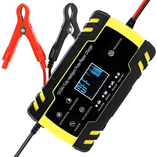 Haofy Chargeur de Batterie de Voiture, 12V/24V 8A Chargeur de Batterie d'entretien Automatique Intelligent avec écran LCD, Plusieurs Protections, pour Automobiles, Moto, VTT, Camping-Car, Bateaux