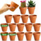 Green Thumbz Terracotta Plant Pots - 8cm x 16 Pack Small Multi Purpose Mini Pots for Plants, Flowers, Candle Making, and Painted Art