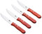 Set di coltelli Bergner BBQ acciaio inossidabile (4 pz)