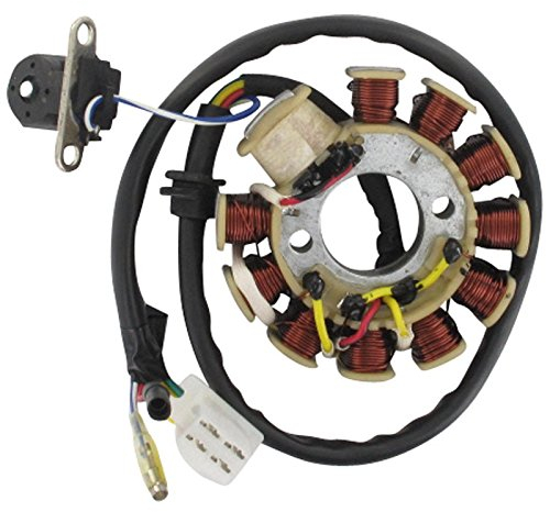 Xfight-Parts Ankerplatte mit Pick-up aussenliegend DC 11 Spulen 6 Kabel 1x4 und 2x1 polig 4Takt 125 ccm China Roller China Roller