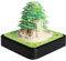 Schreibtisch kalender mit Lichtern, 2024 Kalender 3D Memo Pad Papier Kunst Sakura Baum Kreative 3D Notizblock Papier Schnitzen Geschenk Home Desktop Dekoration