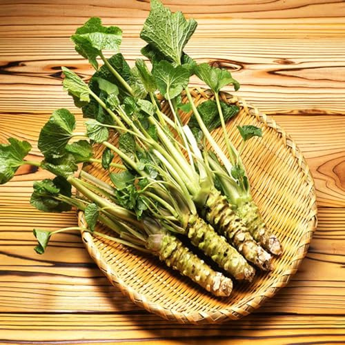 wasabi - variedades exóticas de tradicionales hortícolas plurianual jardín interior decoración 50semillas