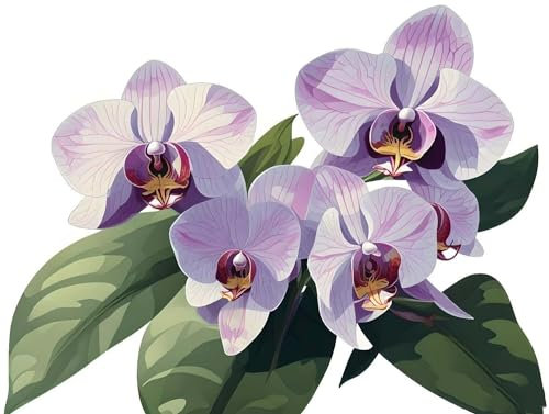 Malen nach Zahlen Erwachsene Phalaenopsis orchidee, DIY Handgemalt Ölgemälde Kit Mit 3-Pinseln und Acrylfarbe, Anfänger Paint by Numbers Malen Nach Zahlen zur Heimdekoration, Ohne Rahmen 40x30cm V-134