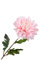 Silk-ka Künstliche Blume – Seidenblume, Dahlie, Stiel, Rosa, 62 cm, Sonderangebot pro 3 Stück