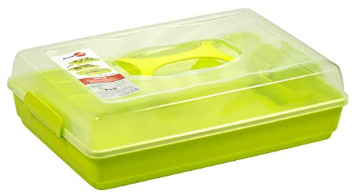 Domotti Kuchen-Transportbox Dolce 44 x 30 x 13 cm rechteckig Kuchenbehälter transparenter Deckel mit Griff 2 Klick-Verschlüsse Kunststoff grün