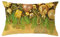 Sofakissen Länglich, Sofa Kissenbezug Boho Polyester Cushion Cover 30X50cm 1er Set Goldgrün Weihnachtskugel Geschenk Tannenblätter Schneeflocke
