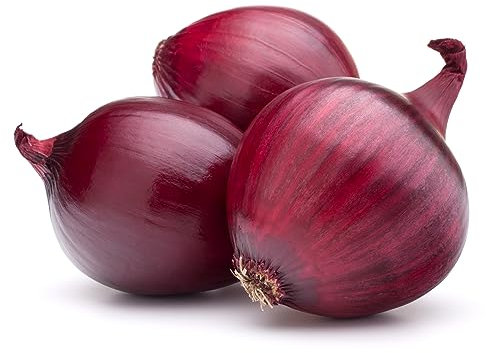 BIO Saatgut Zwiebel Zwiebel Morada de Amposta 100 x Samen | 100% Natur mit Super Keimrate