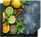 KitchenYeah© Protège Plaque Induction 58x51 cm Deco Cuisine Protection Pour Plan De Travail Cuisson Protégé Fruits - Béton - Plantes - Citron - Cannelle