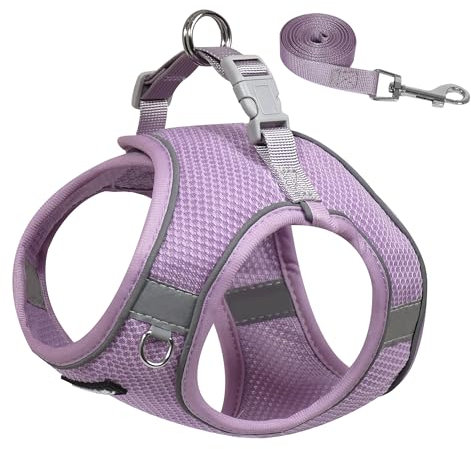 AIITLE No Pull Dog Harness and Leash Set, Step in Adjustable Dog Harness with Padded Vest for All Weather, Reflective Pet Harness, Easy to Put on Small Dogs Purple S