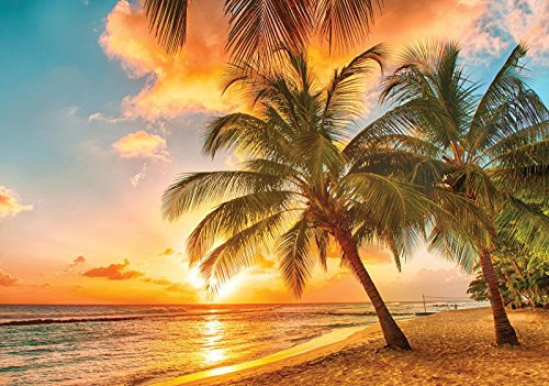 Forwall - Vlies Fototapete Strand Meer Palmen Karibik Landschaft 416x254 cm - Fototapeten - Tapeten - für Wohnzimmer Schlafzimmer - Vliestapete Wandtapete Tapete 3D Effekt- inkl. Kleister