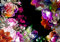 decomonkey Fototapete Blumen 350x256 cm Tapete Wandbild Bild Fototapeten Tapeten Wandtapete Wand Schlafzimmer Wohnzimmer Natur Pflanzen Rose Pfingstrose